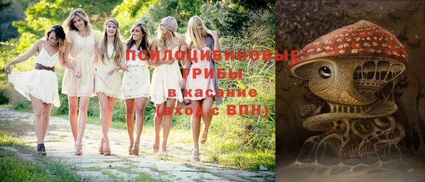 гидропоника Абинск
