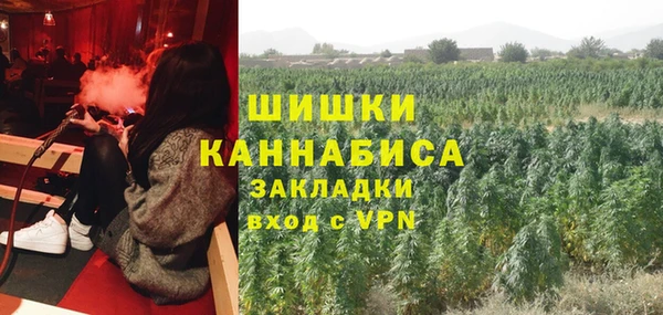 PSILOCYBIN Слюдянка