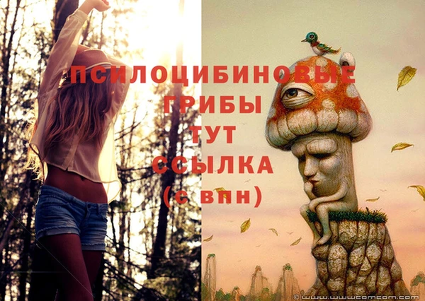 MDMA Абаза