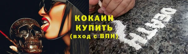 стаф Алексин