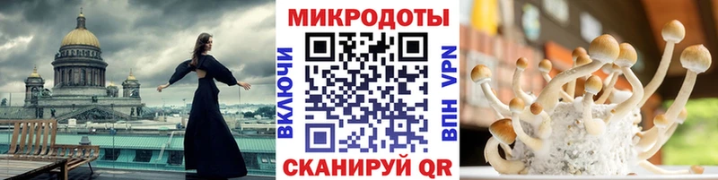 Псилоцибиновые грибы ЛСД  MEGA tor  Каменка  наркошоп 