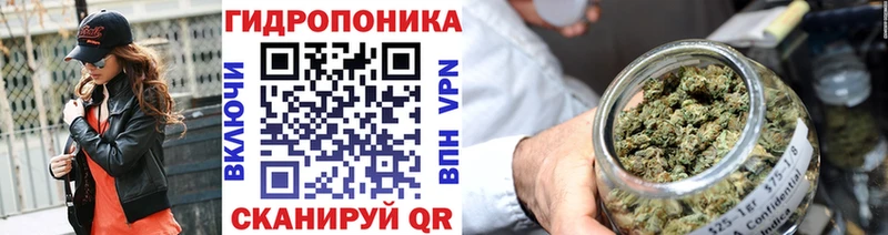 Конопля Amnesia Каменка